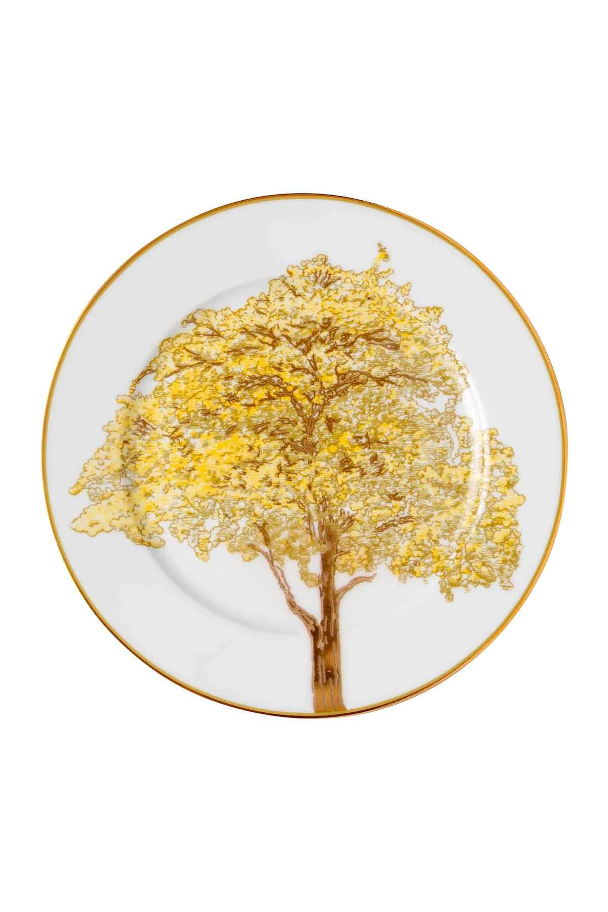 Dinner Plate Arvores do Brasil (4)