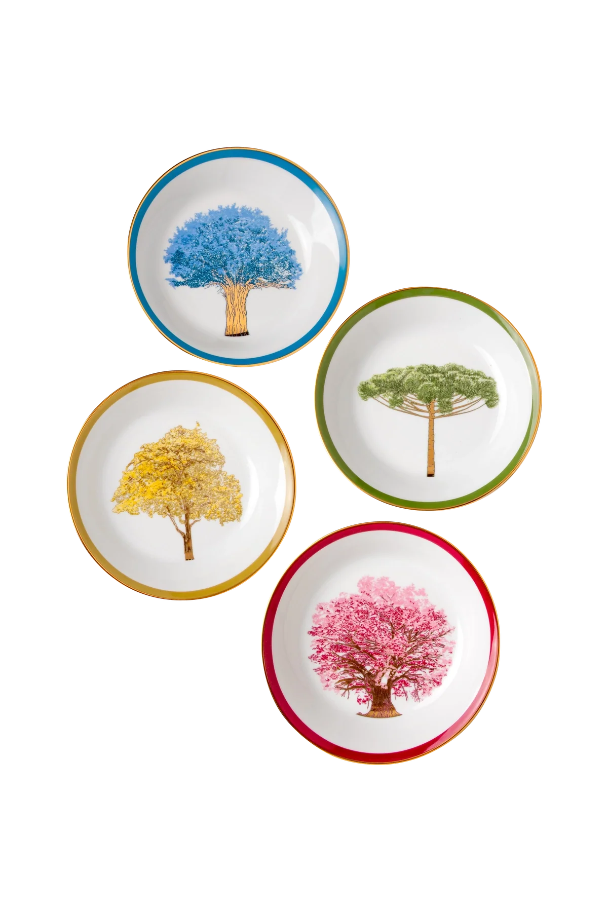 Soup Plate Arvores do Brasil (4)