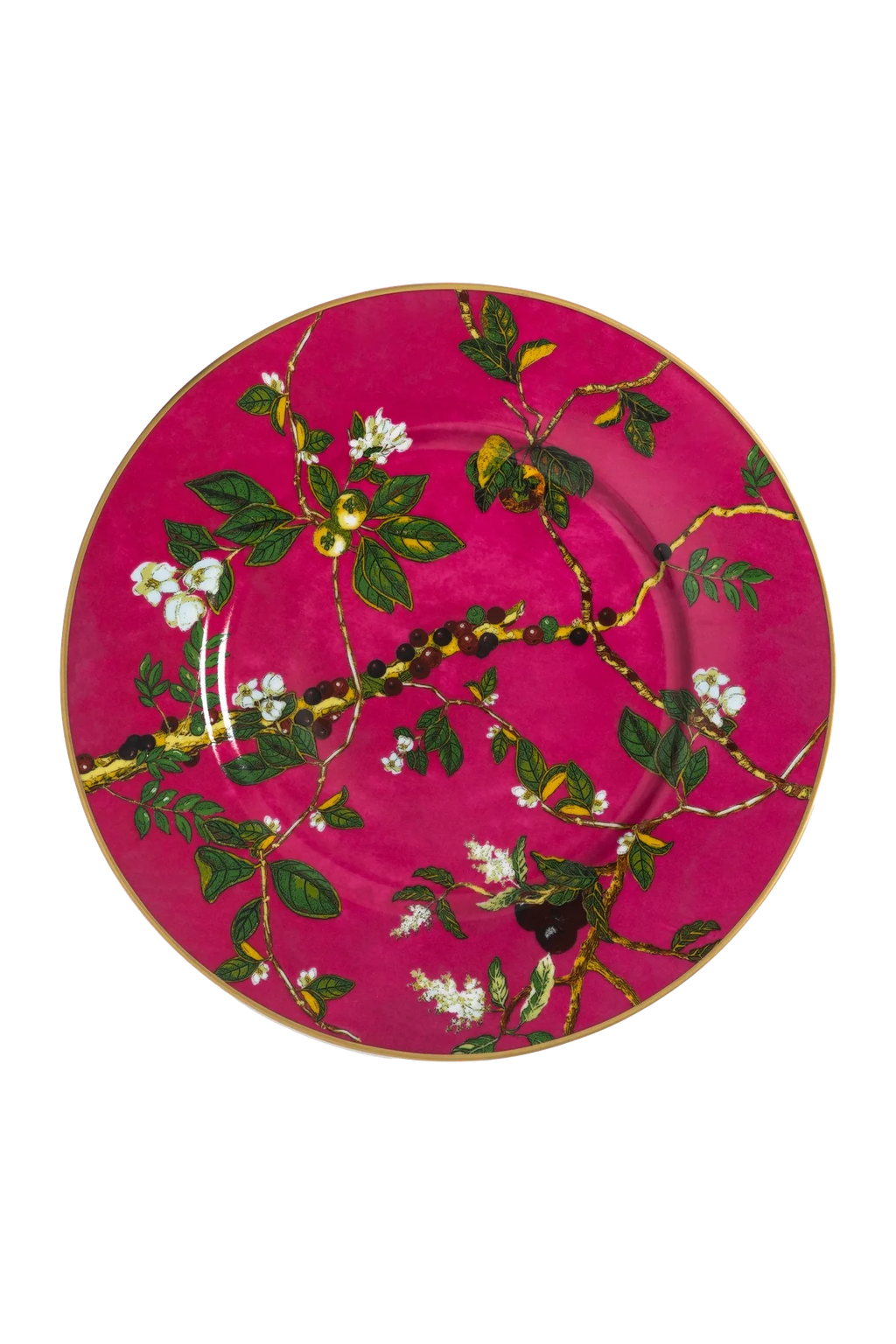 Charger Passaros do Brasil Pink