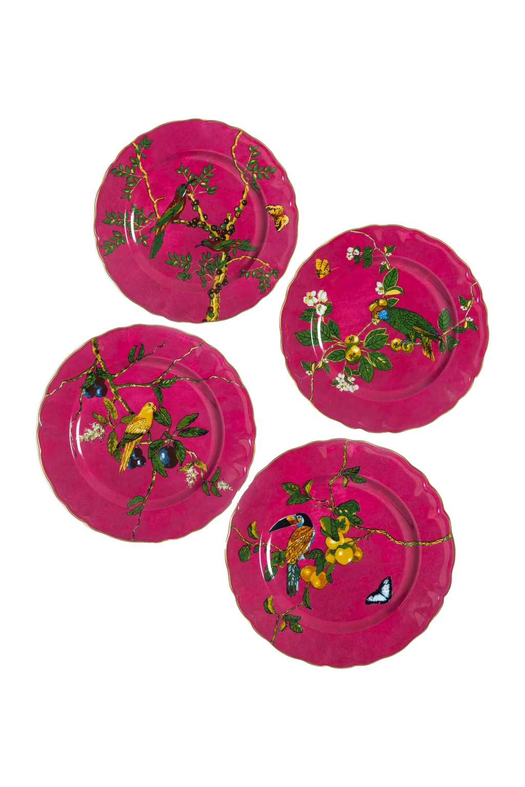 Dinner Plate Passaros do Brasil Pink (4)