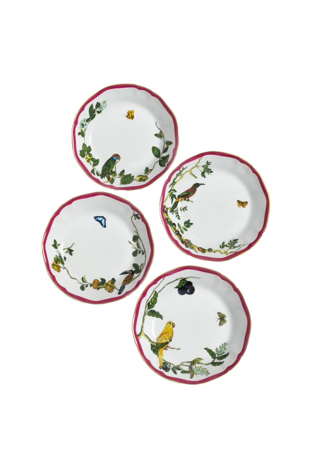 Soup Plate Passaros do Brasil Pink (4)