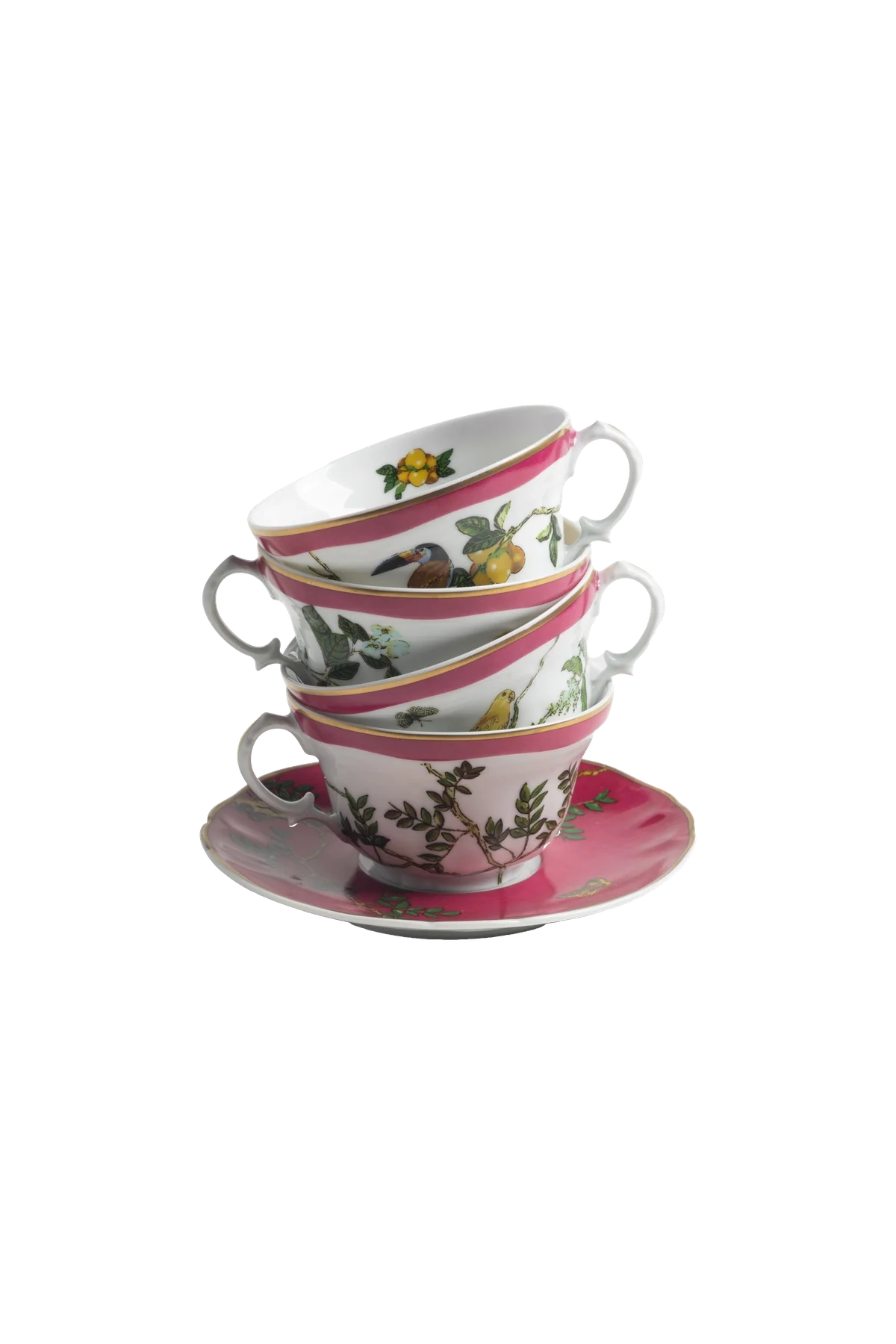 Tea Cup and Saucer Passaros do Brasil Pink (4)