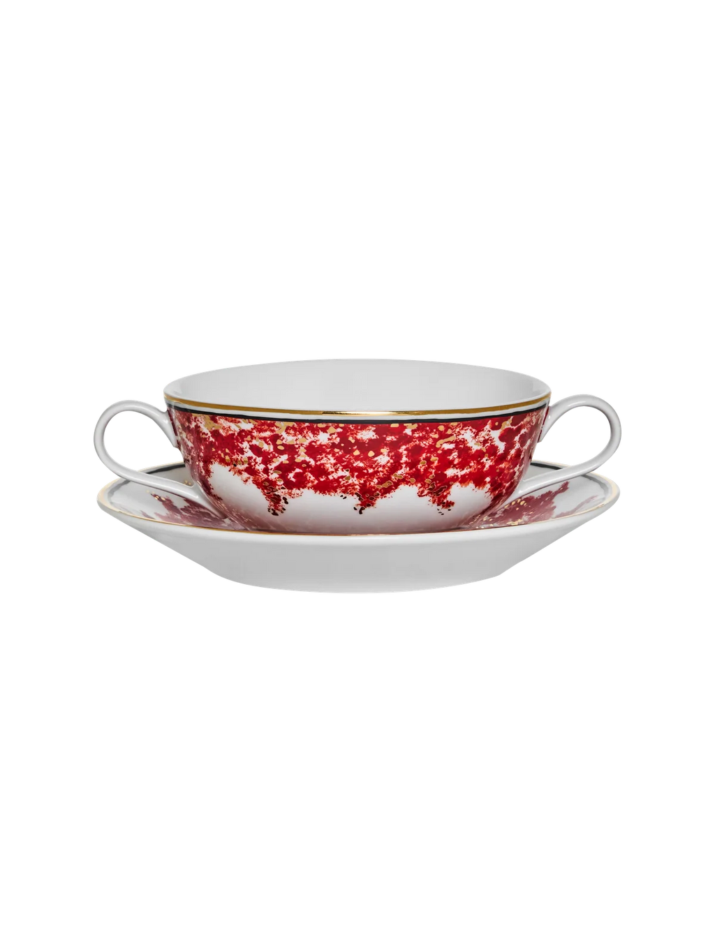 Consomme Bowl Plaza Athenee