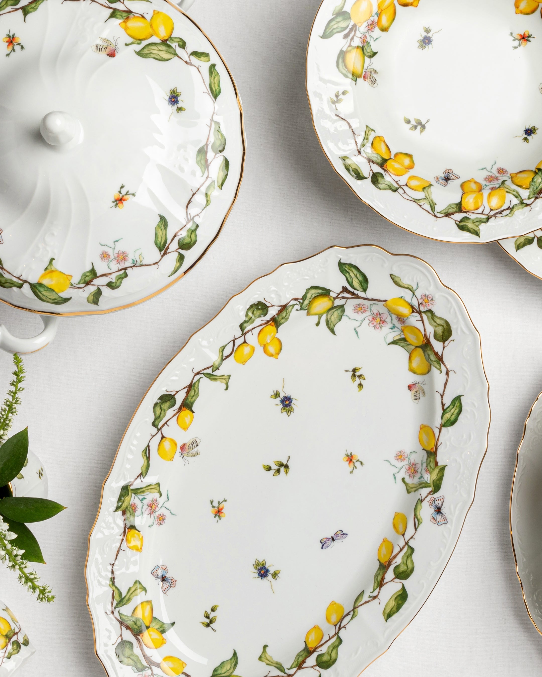 Platter Limoeiro
