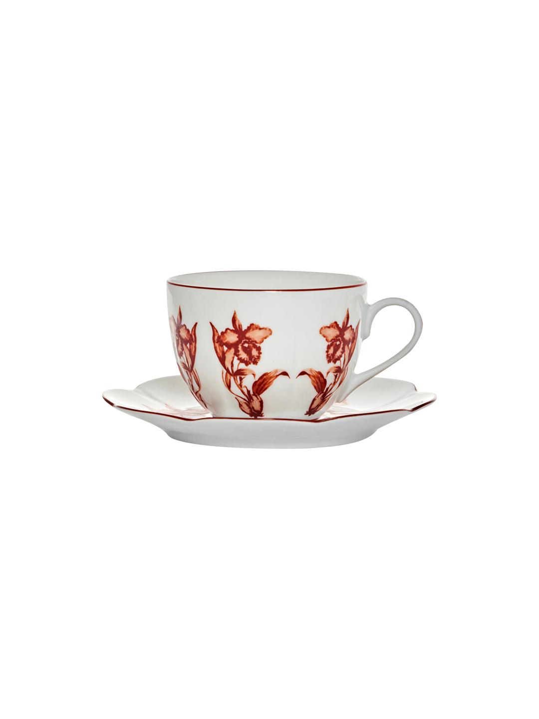 Tea Cup and Saucer Rouge de Fer