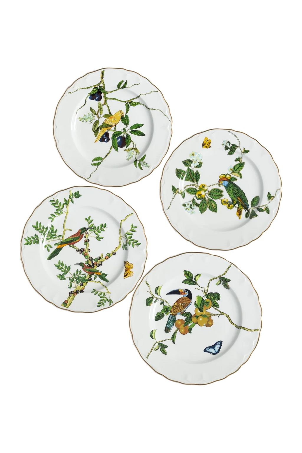 Dinner Plate Passaros do Brasil (4)