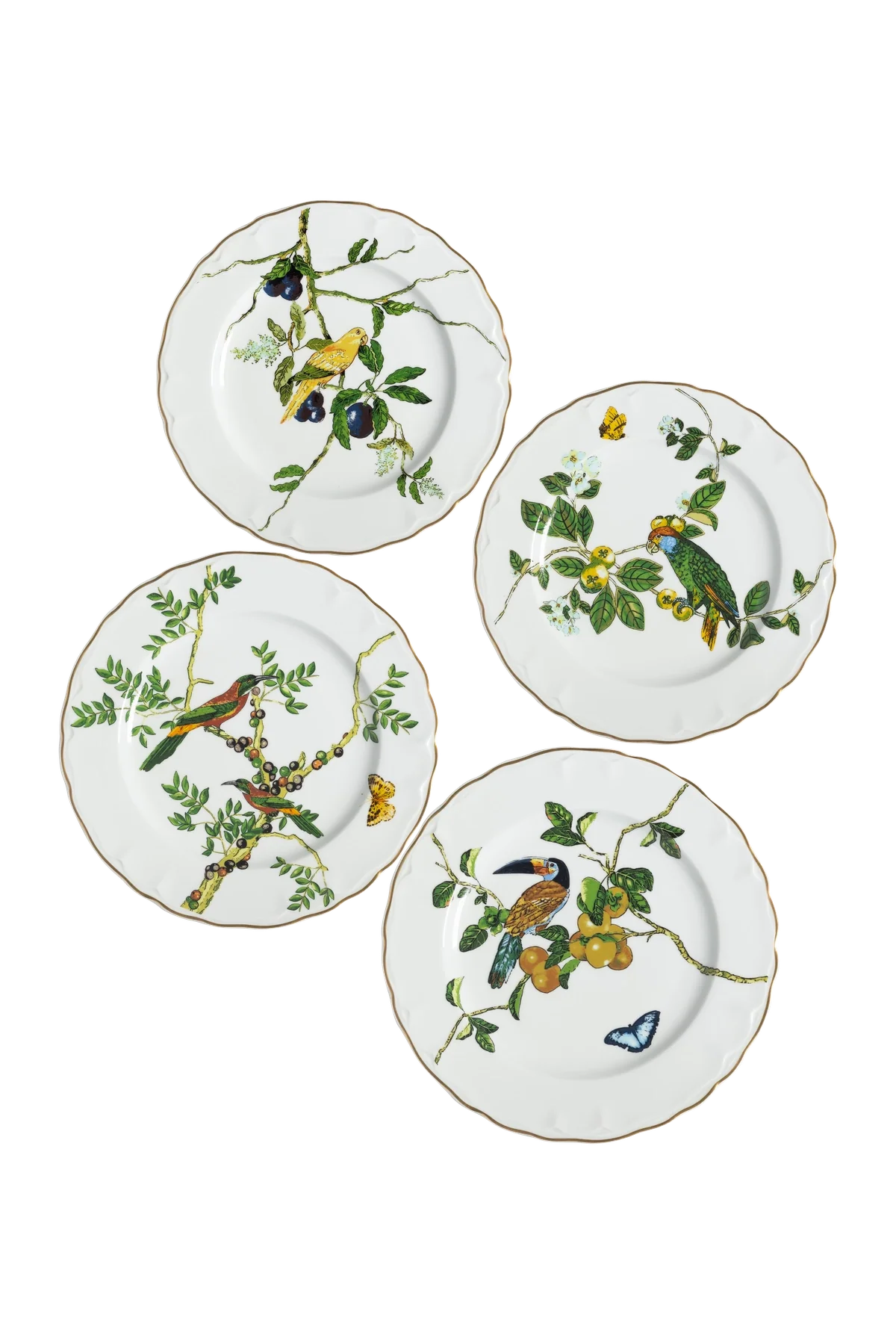 Dinner Plate Passaros do Brasil (4)