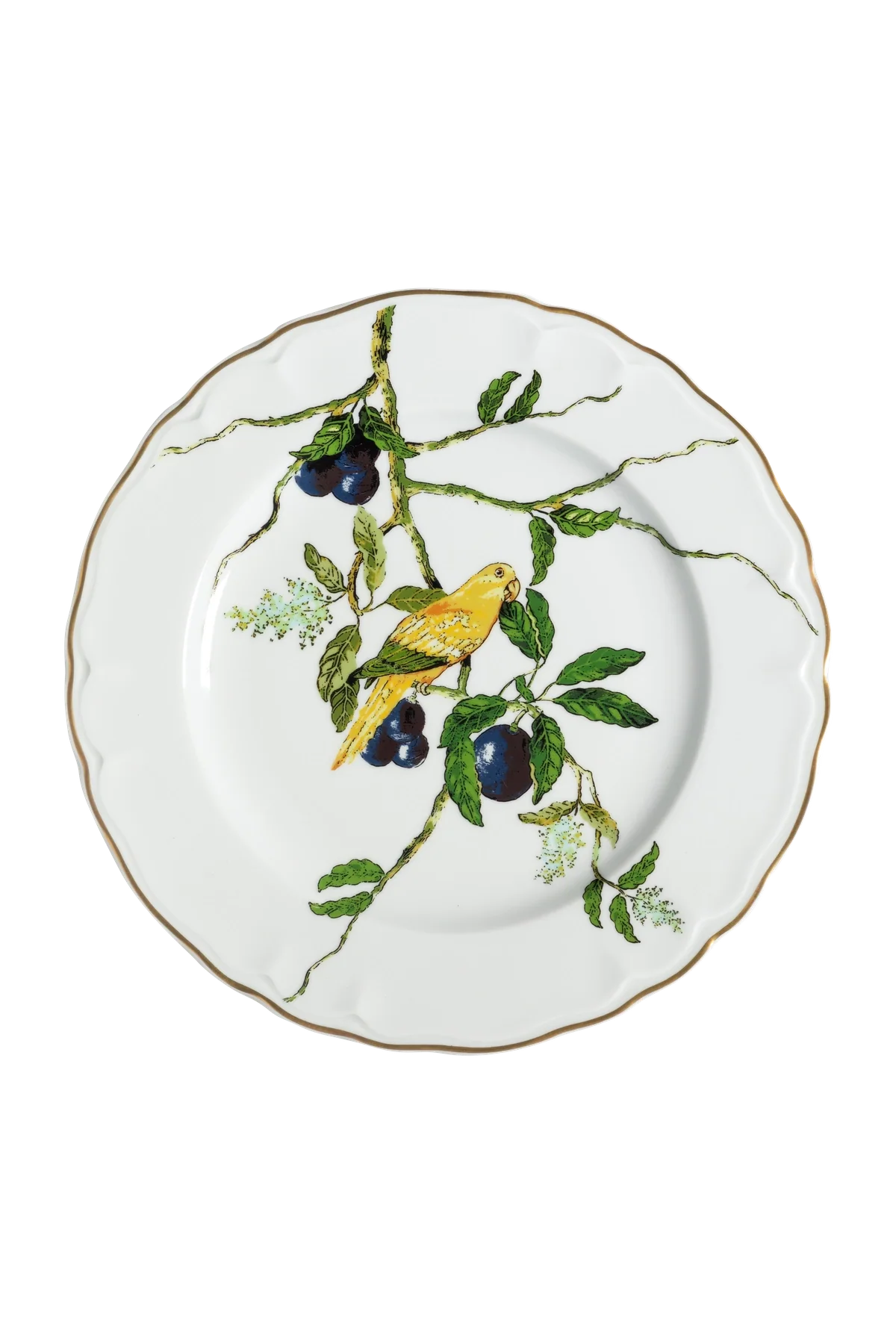 Dinner Plate Passaros do Brasil (4)