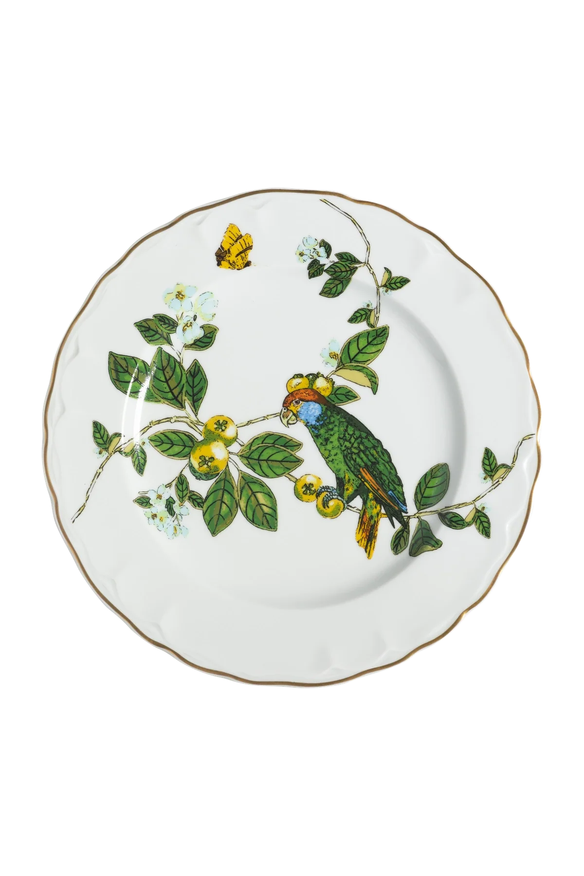 Dinner Plate Passaros do Brasil (4)