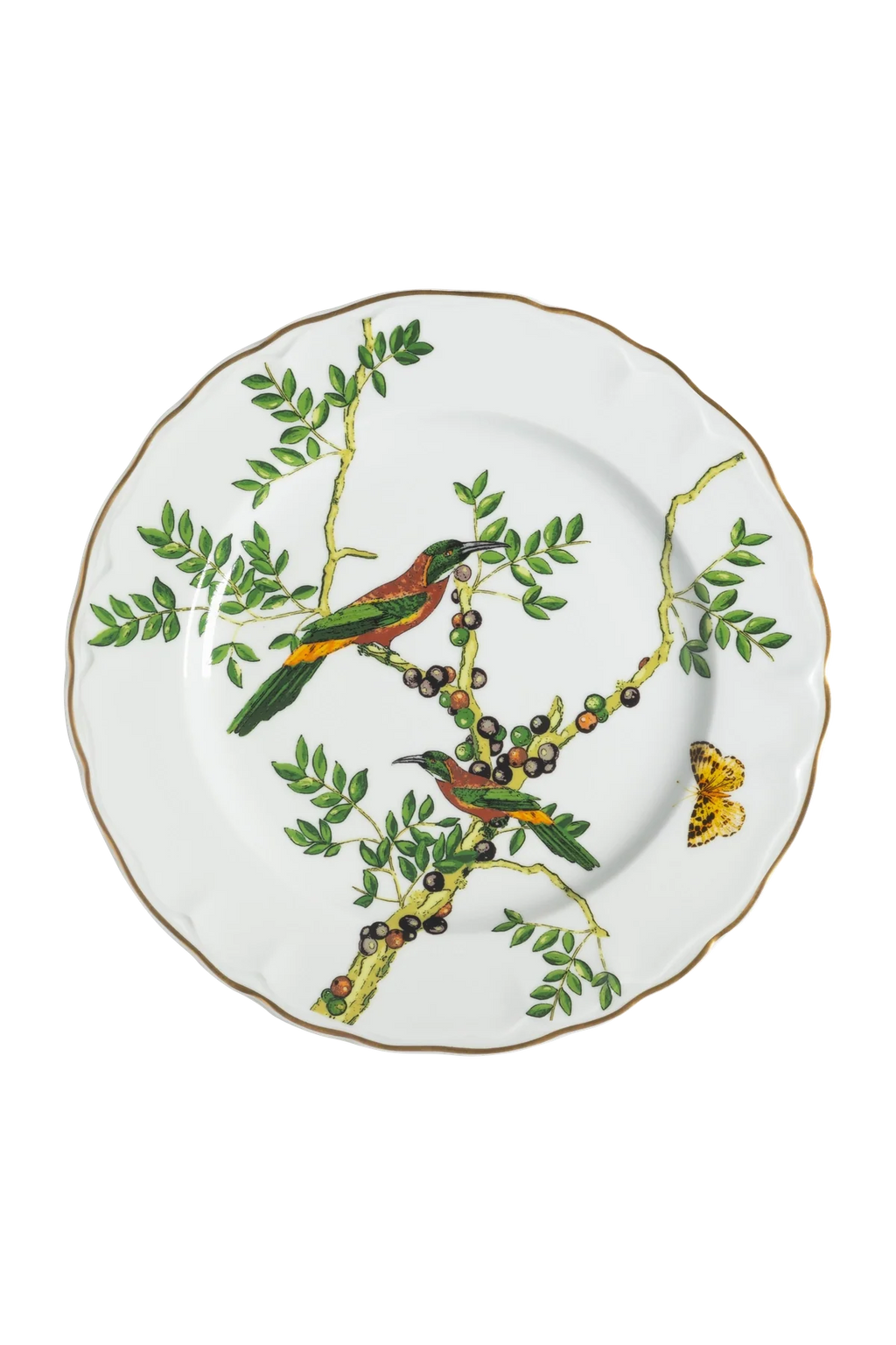 Dinner Plate Passaros do Brasil (4)