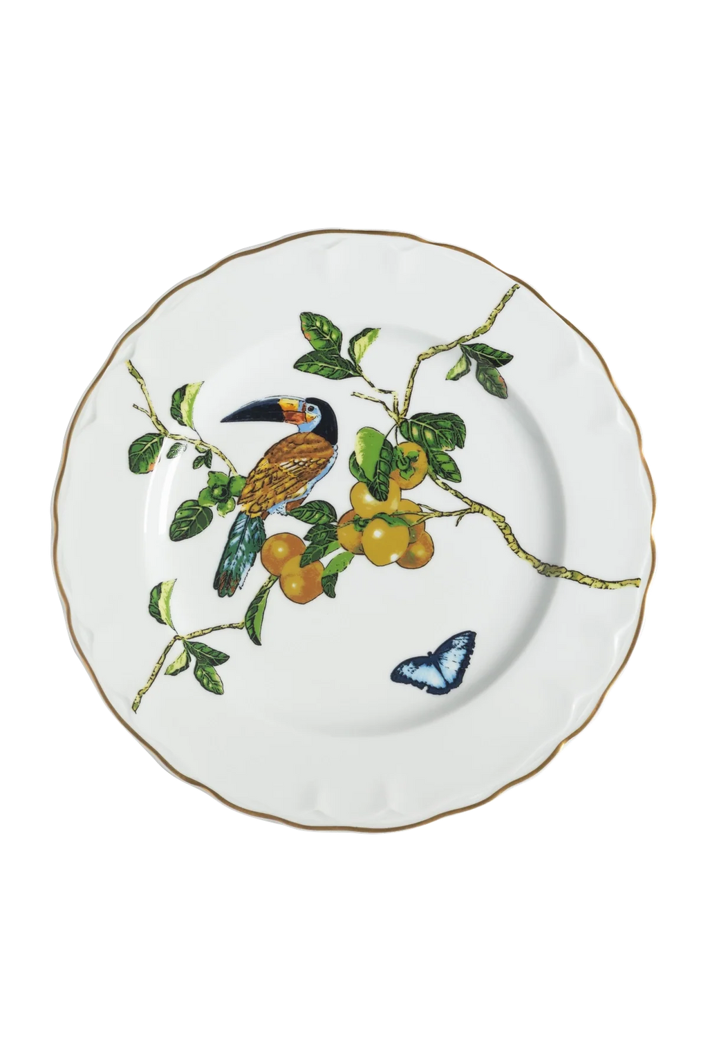 Dinner Plate Passaros do Brasil (4)