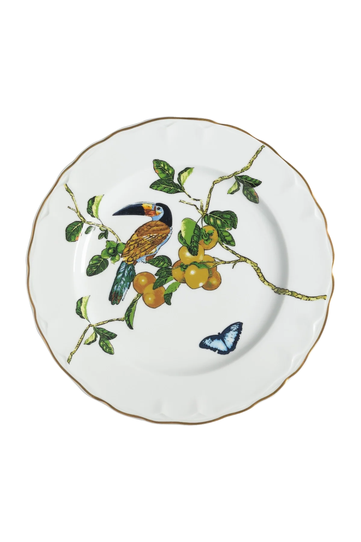 Dinner Plate Passaros do Brasil (4)