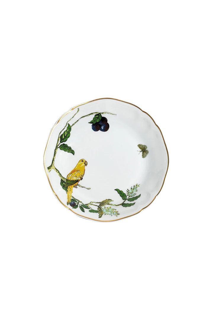 Soup Plate Passaros do Brasil (4)