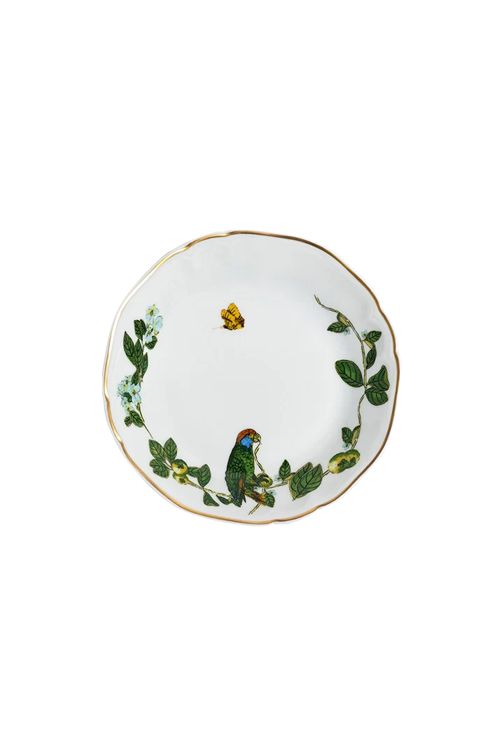 Soup Plate Passaros do Brasil (4)