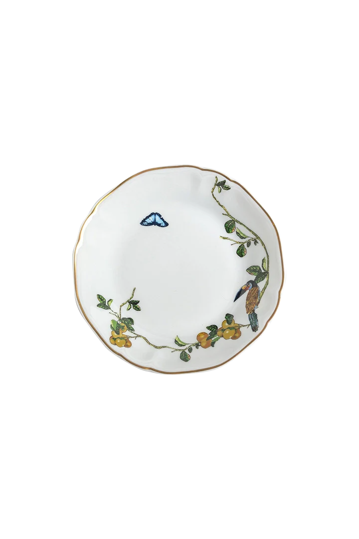 Soup Plate Passaros do Brasil (4)