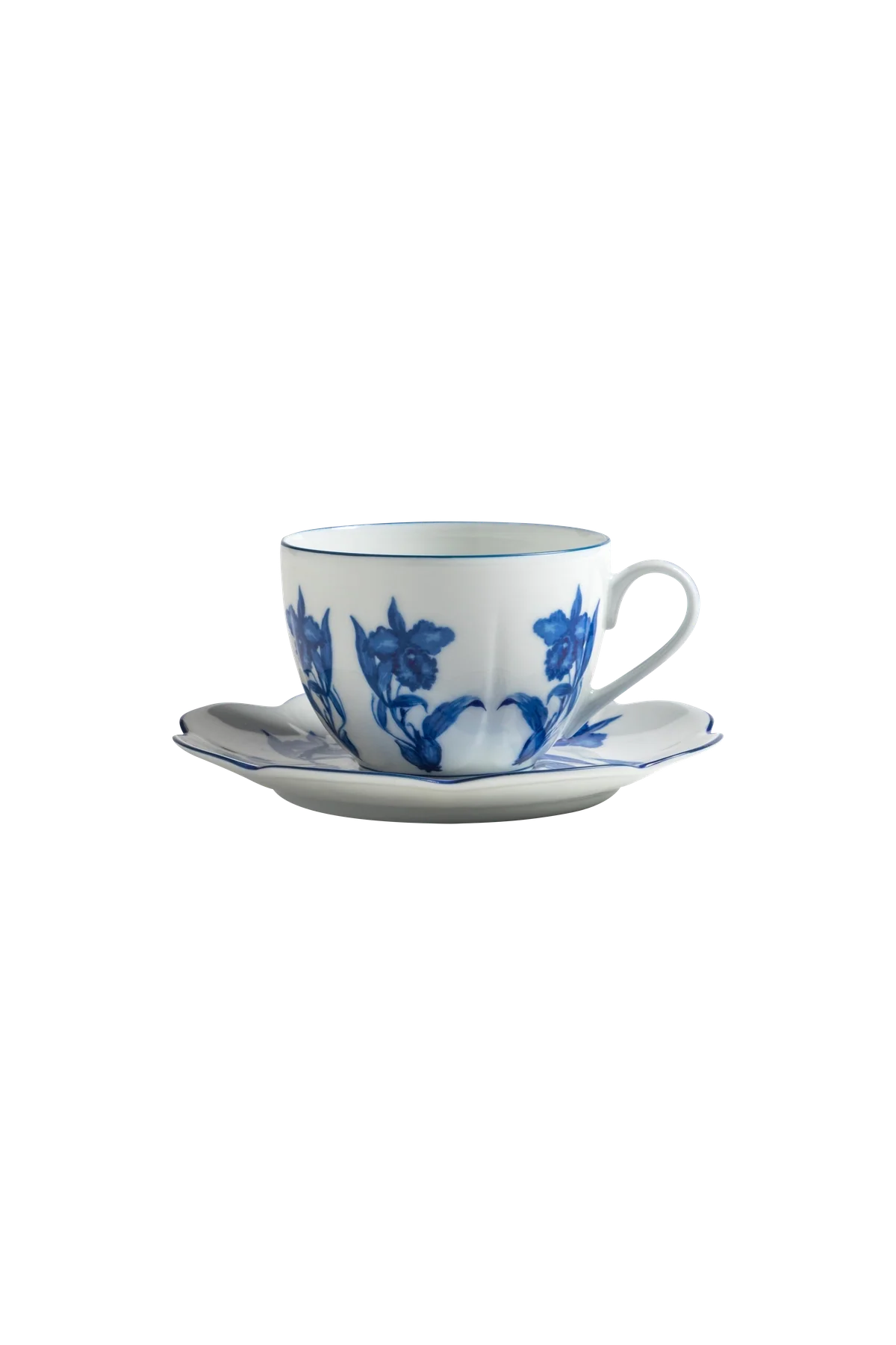 Tea Cup and Saucer Casa das Orquideas