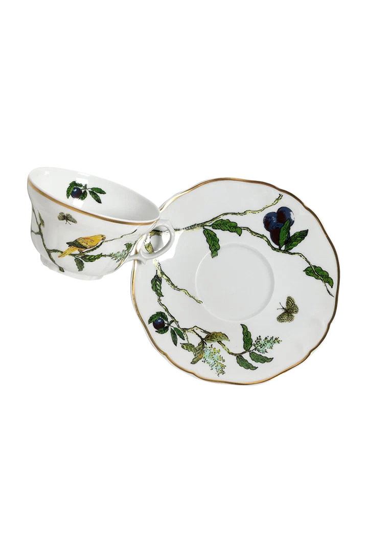 Tea Cup and Saucer Passaros do Brasil (4)