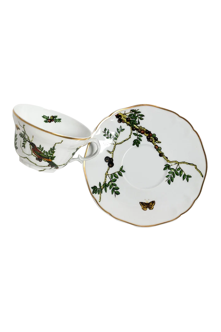 Tea Cup and Saucer Passaros do Brasil (4)