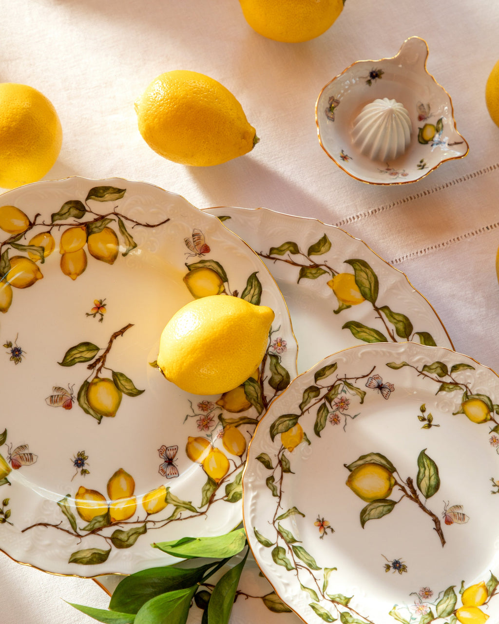 Dinner Plate Limoeiro