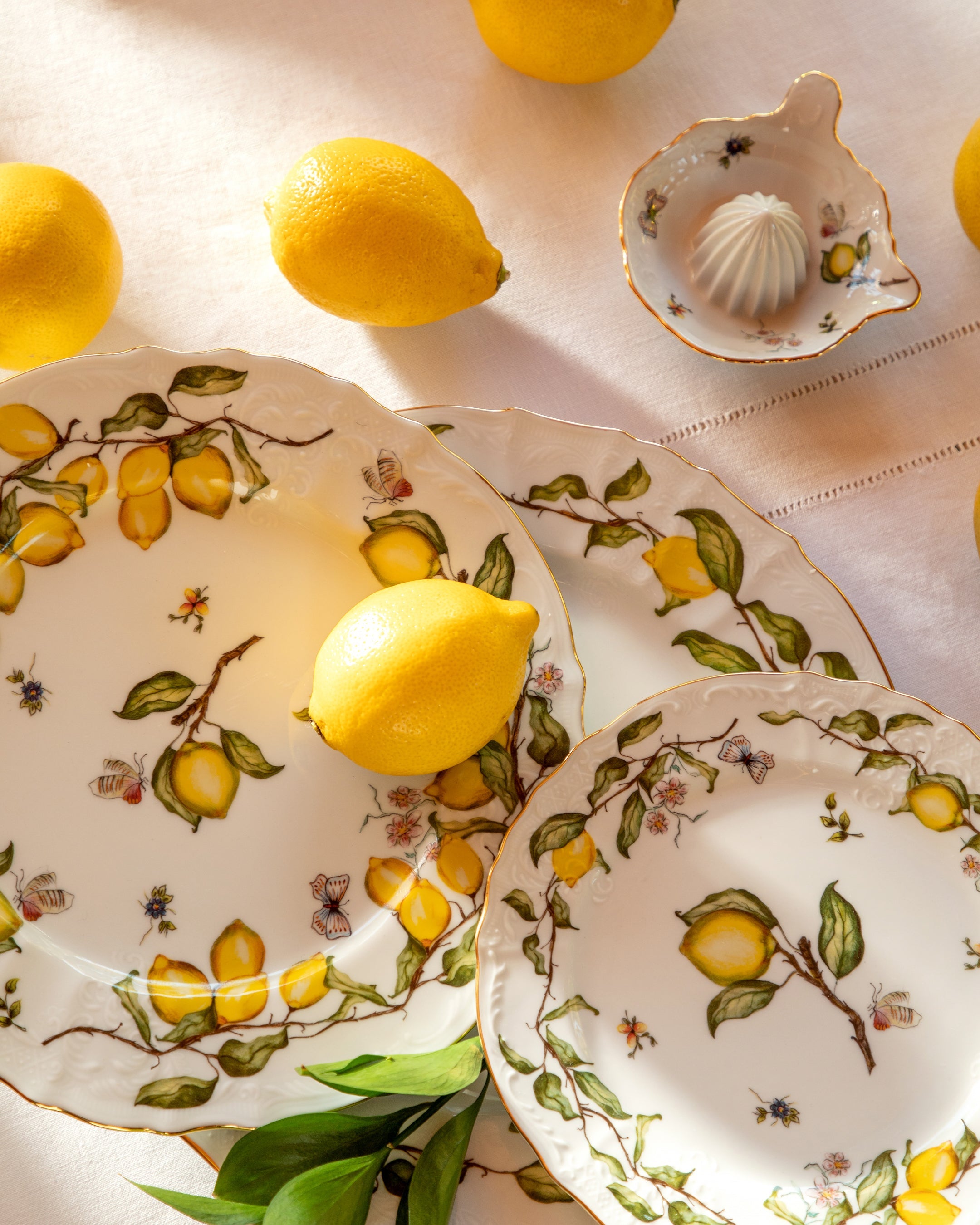 Dinner Plate Limoeiro