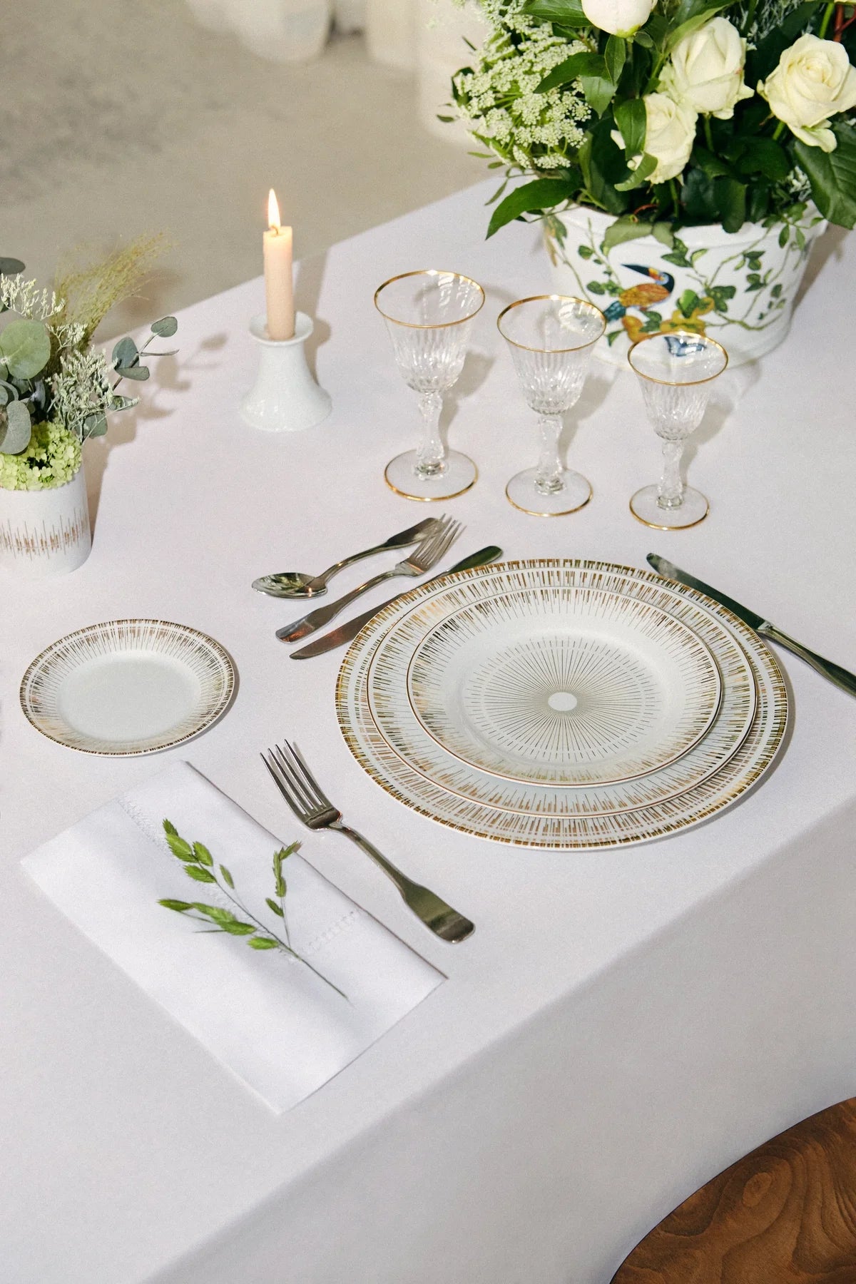Dinner Plate Astro
