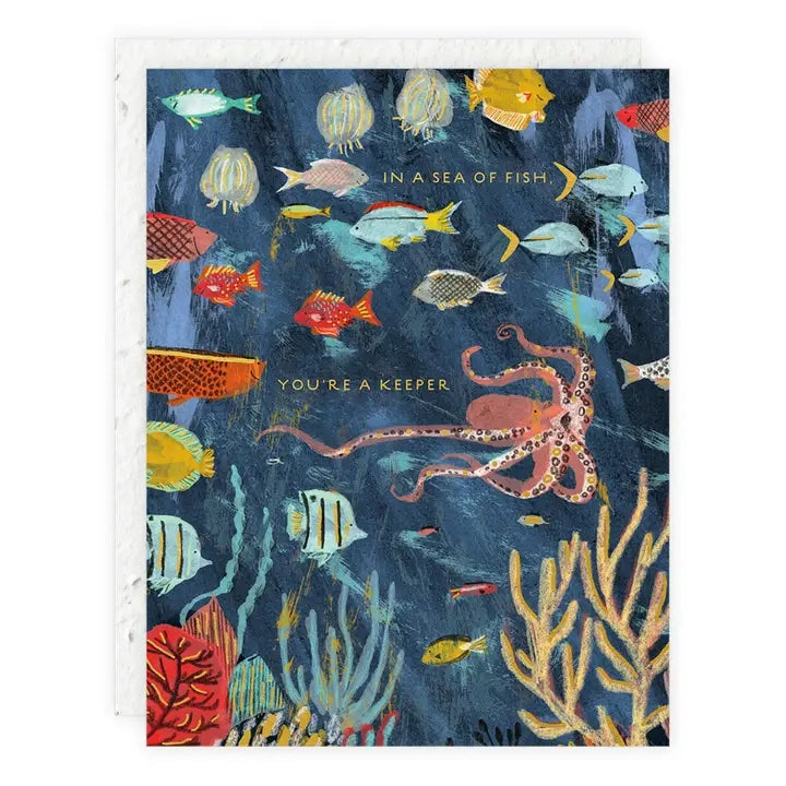 Seedling Cards - Grow Wildflowers