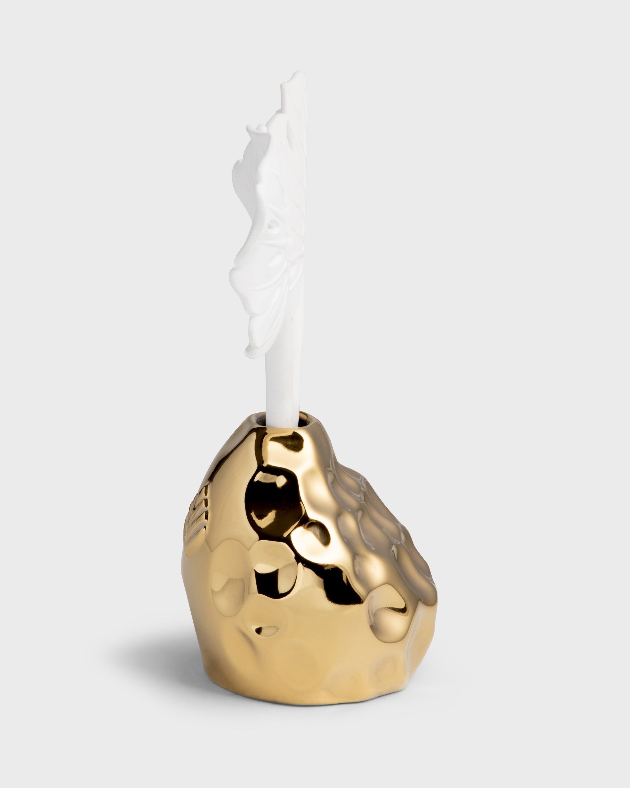 Diffuser Folha Costela de Adao Gold