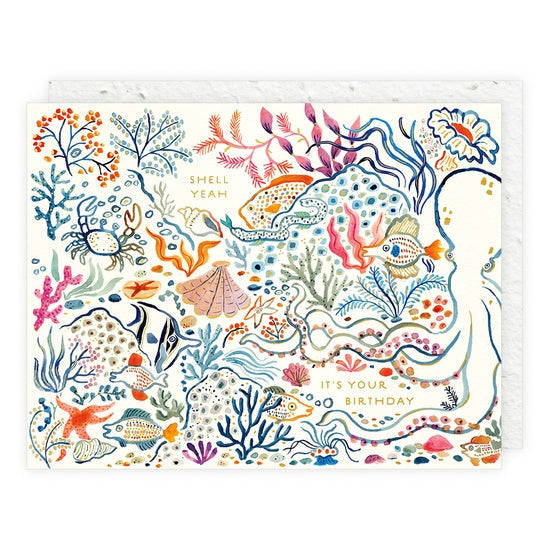 Seedling Cards - Grow Wildflowers