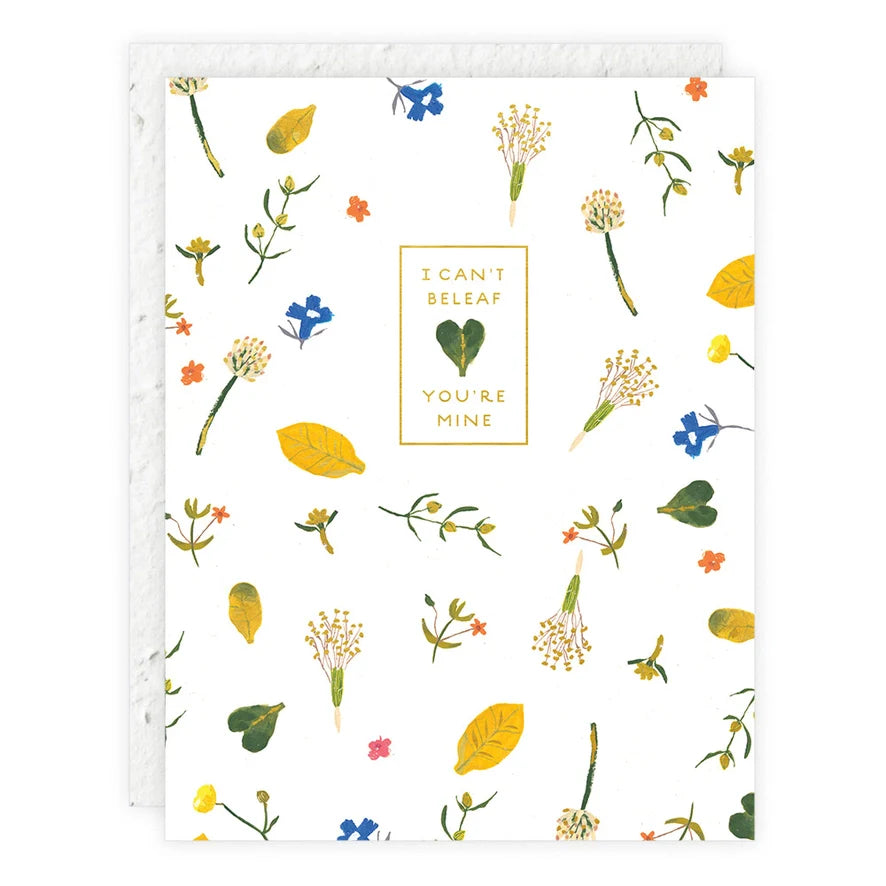 Seedling Cards - Grow Wildflowers