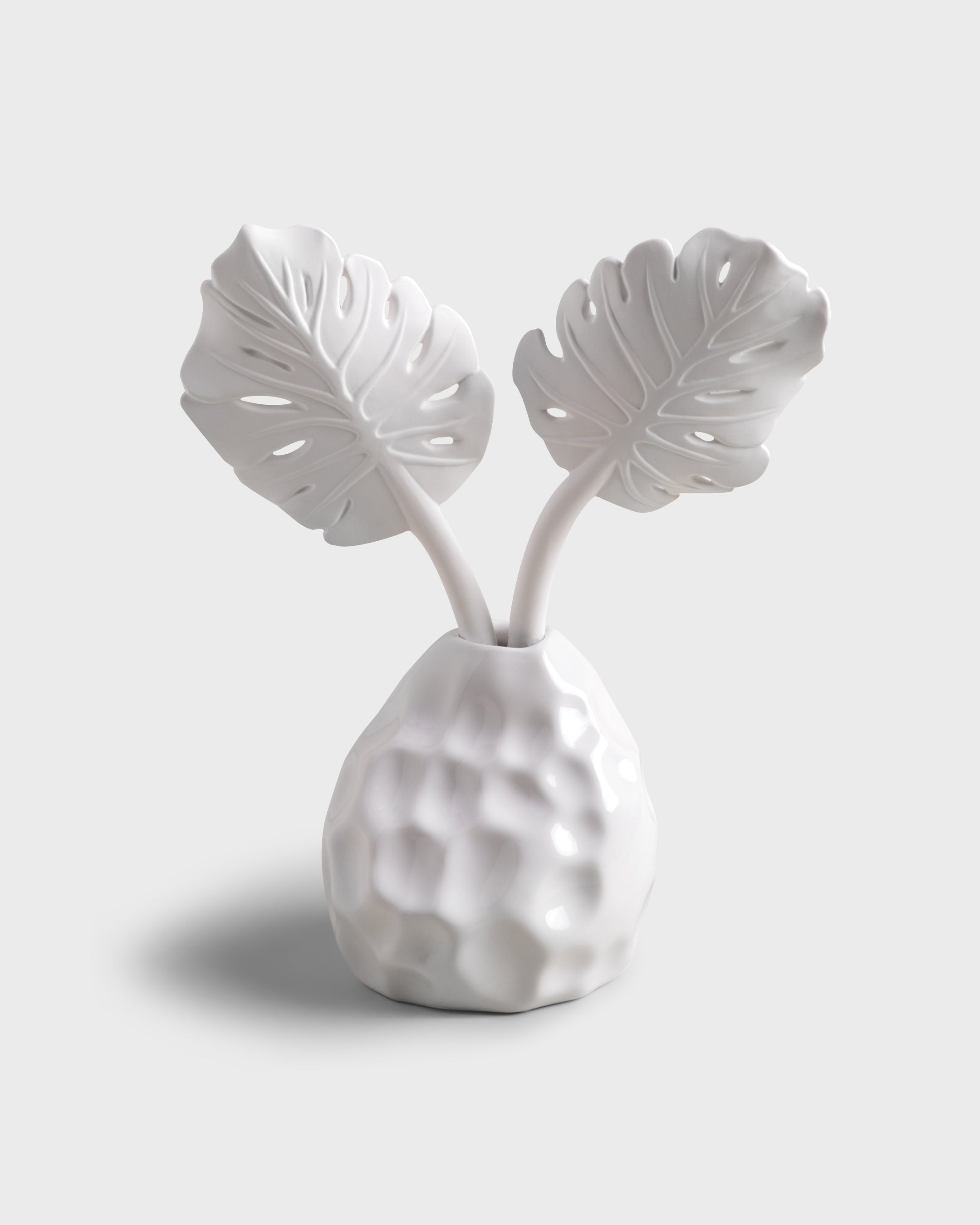 Diffuser Folha Costela de Adao White