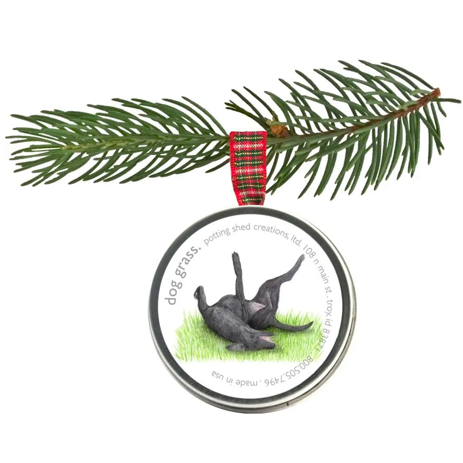 Sprinkle Holiday Ornaments