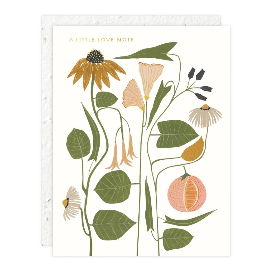 Seedling Cards - Grow Wildflowers