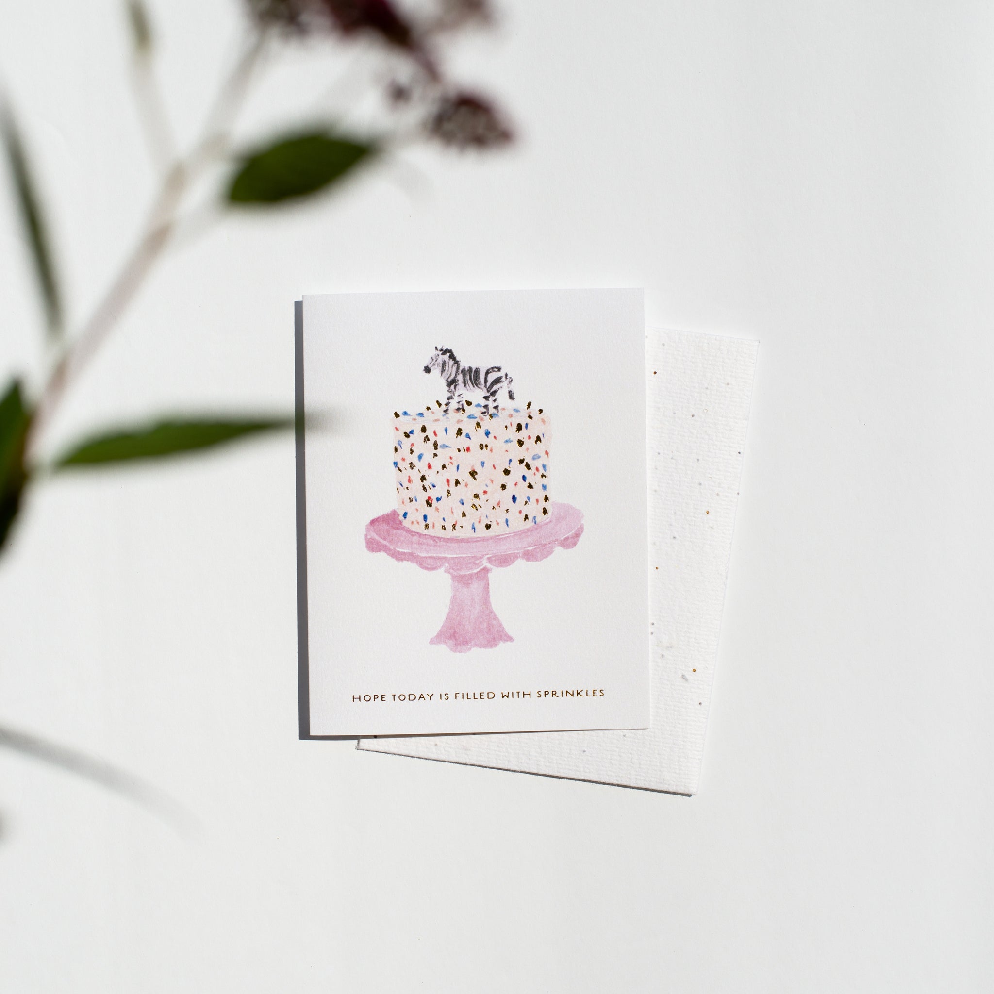 Seedling Cards - Grow Wildflowers