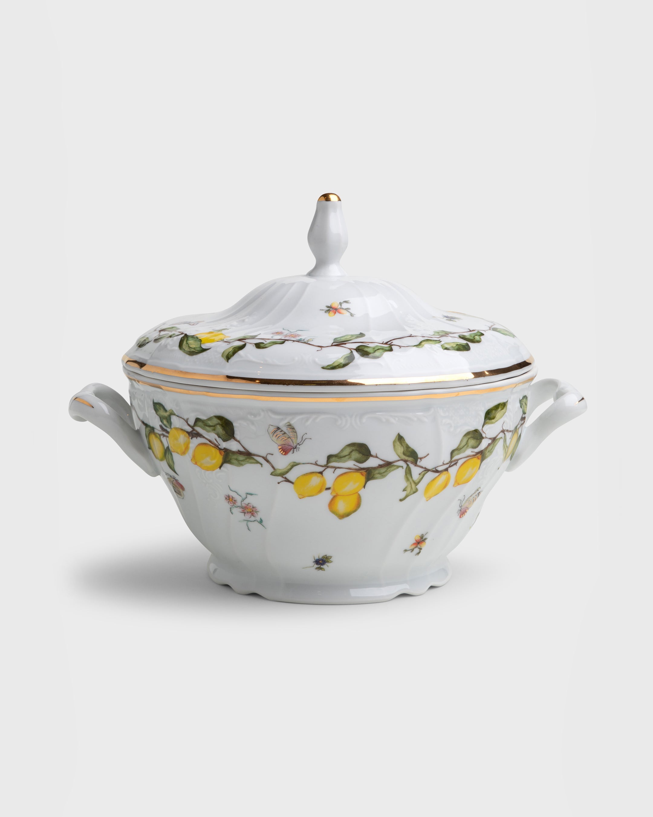 Soup Bowl Limoeiro