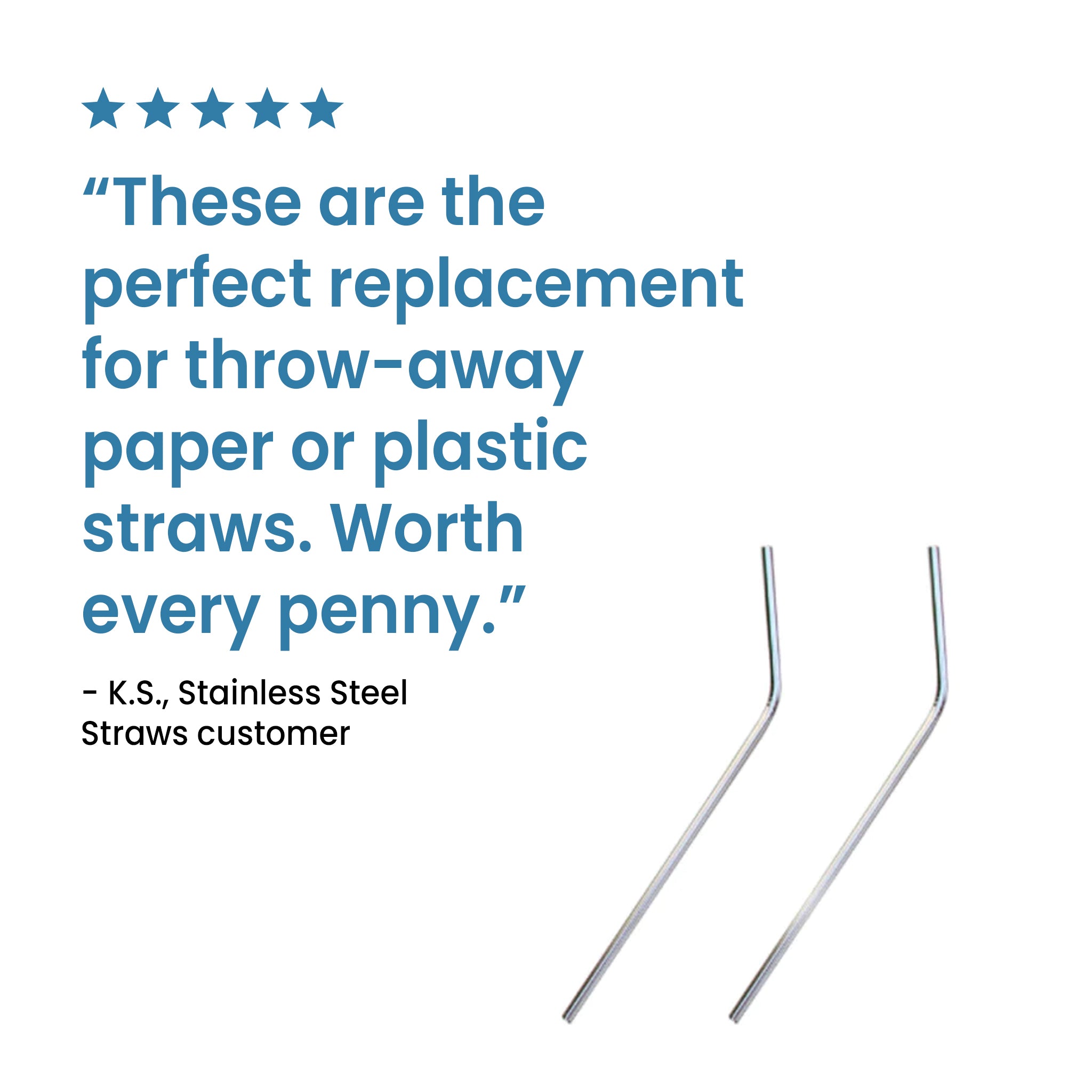 Stainless Steel Straws - Set Of 2
